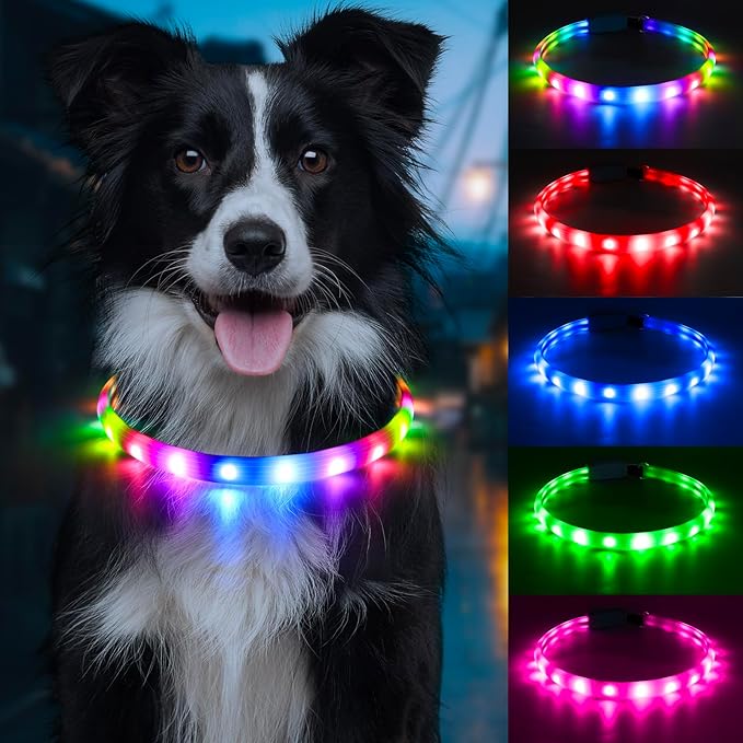 Flashseen LED Dog Collar, USB Rechargeable Glowing Lighted Up Collar, Cuttable Water-Resistant TPU Safety Collar Lights for Small Medium Large Dogs (Style 1)