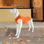 2 Pack Dog Shirts, Breathable Mesh Dog Clothes Pet Sleeveless Vest, Lightweight Stretchy Tank Top T-Shirts for Large Dogs, L