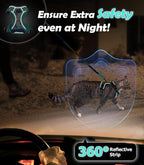 Halypet Cat Harness and Leash Set[MAX Safety 4th-Gen] Cute Escape Proof Vest Harness for Girl&Boy Cat Walking, Comfortable Adjustable Leash and Reflective Strips for Outdoor Kitten, M Purrfect Green