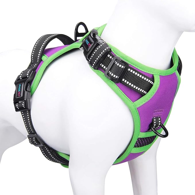 PHOEPET 2019 No Pull Dog Harness Medium Reflective Front Clip Vest with Handle,Adjustable 2 Metal Rings 3 Buckles,[Easy to Put on & Take Off](M, Purple)