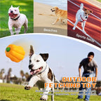 LiuMelinda Dog Chew Toys for Aggressive-Chewers - Indestructible Dog Toy for Aggressive Chewer，Tough Chew Toys for Dogs （Rubber Orange-Pumpkin）