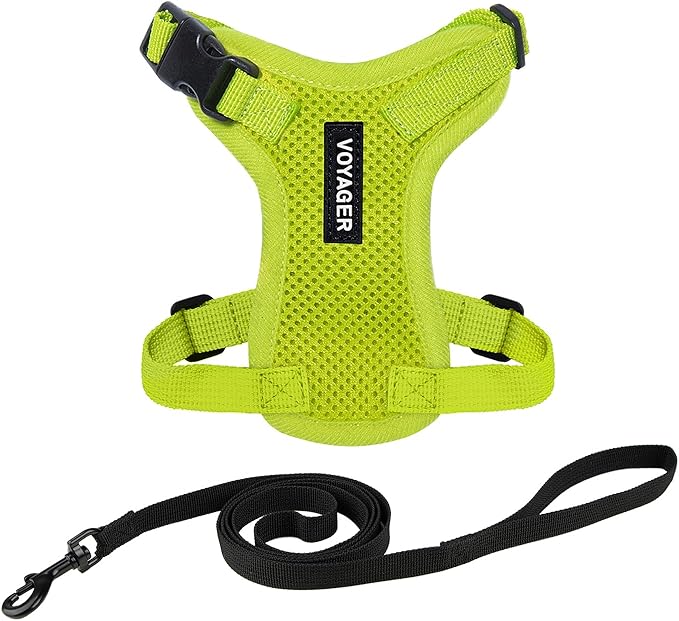 Voyager Escape-Proof Step-in Lock Cat Harness & 5ft Neoprene-Handle Leash Set All-Weather Mesh with Reflective Stitching for Small to Large Cats by Best Pet Supplies, Lime Green, XXS
