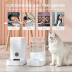 PAWGETHER® 2 Pack Gravity Cat Feeder and Water Dispenser 1 Gallon/3.5L Automatic Cat and Dog Feeder and Waterer with Pet Food Bowl for Puppy Kitten