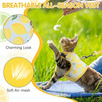 BINGPET Cat Harness and Leash Set Escape Proof for Walking,Step-in Harness with Lightweight Soft Breathable Mesh,Adjustable Easy Control Harness (Sunshine Citrine, M(Chest:10.5-13.5"))