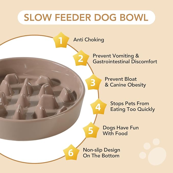 Ceramic Raised Slow Feeder Dog Bowl Set, Elevated 8.2inch Bowl and 9.5inch Slow Pet Food Dish with Wooden Stand for Large Dog (2 x Brown Coffee+ Stand)