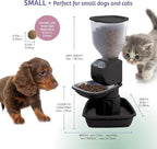 Automatic Dog & Cat Food Feeder with Water Dispenser – Smart Pet Feeder with Portion Control, OLED Display, Anti Jam Design, Battery Operated Dispenser for Small Pets - Black