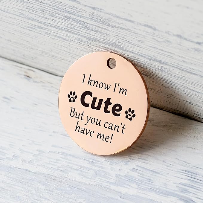 MYLUCKYTAG QR Code Stainless Steel Pet ID Tag - Personalized Online Profile, Location Alert Email, Digital ID, Durable Dog Collar Tag, Engraved