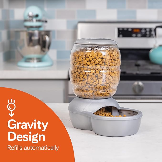 Petmate Replendish Feeder with Automatic Cat and Dog Feeder Grey, Made in USA