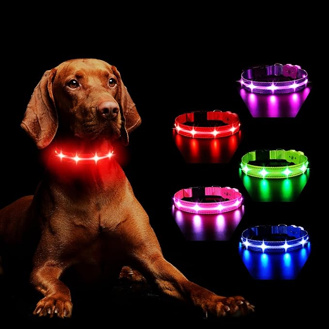 MASBRILL Light Up Dog Collar - RGB LED, Rechargeable, Water-Resistant Glow Up Night Walking Collar for Small to Large Dogs