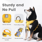 Pawaii Dog Harness (Medium, Pineapple Yellow), Soft Padded, No-Choke, Reflective, Digital ID Tag, Adjustable, for Daily Walking or Training