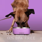 32 Oz Dog Bowl with Slow Feeder Insert Stainless Steel Pet Water Bowl for Medium & Large Breed Non Slip Rubber Base & Plastic Puzzle Feeder - Lavender