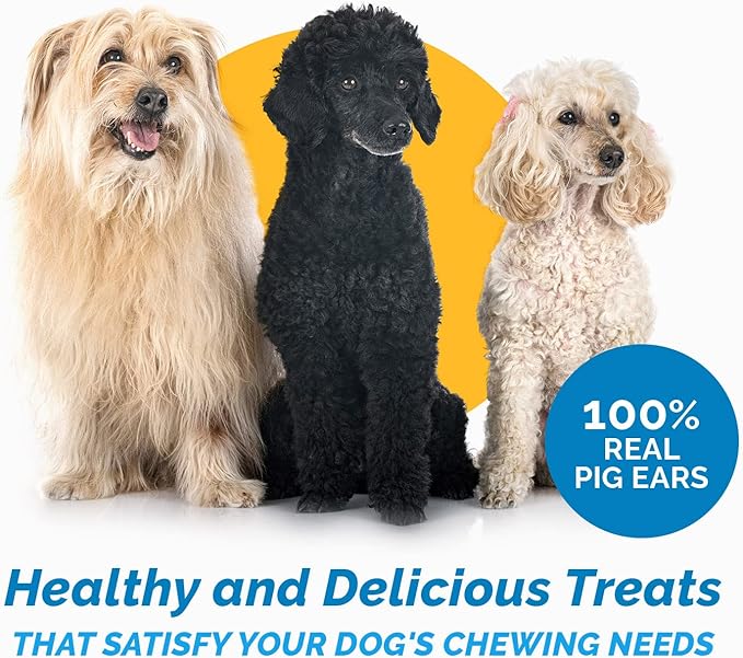 Pig Ears for Dogs, 100% Natural Long Lasting Pork Dog Chews, Ideal for All Chewers, Delicious and Healthy Dog Treats, Half Pig Ears (One Pack of 30)