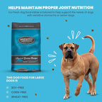 Muenster Ancient Grains Ocean Fish Dry Dog Food, 12lb (Pack of 3) - Gluten-Free, High Protein, Digestive Support