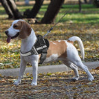 JSXD Dog Harness,No-Pull Service Dog Harness with Handle Adjustable Outdoor Pet Dog Vest 3M Reflective Nylon Material Vest for Breeds,Easy Control for Small Medium Large Dogs, XS, Black