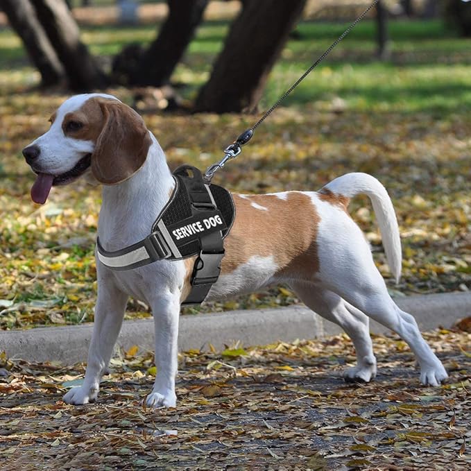 JSXD Dog Harness,No-Pull Service Dog Harness with Handle Adjustable Outdoor Pet Dog Vest 3M Reflective Nylon Material Vest for Breeds,Easy Control for Small Medium Large Dogs