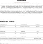 Go! Solutions Skin + Coat Care, Dry Dog Food, Large Breed Adult Salmon Recipe with Grains, 12 lb Bag