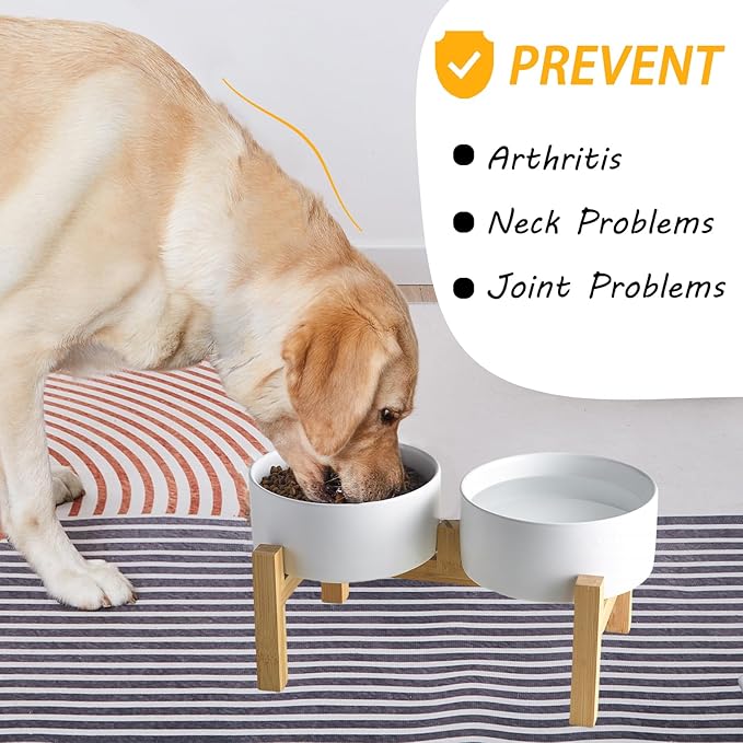 Elevated Ceramic Dog Bowl Set - Raised Dog Bowls with Non Slip Bamboo Stand, Food and Water Bowl Set for Kitty, Cats and Toy Breed Dogs, Pet Bowls, Weighted Dogs Dishes (5.1'', 2*16OZ, White)