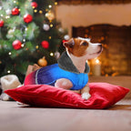 Dogcheer Dog Coat, Christmas Dog Jacket Waterproof Pet Winter Coat for Cold Weather, Reflective Adjustable Puppy Snow Jacket Fleece Sweater for Small Medium Large Dogs - Gradient Blue-red, 2XL