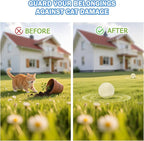 10Pack Cat Repellent Outdoor & Indoor: Natural Cat Deterrent Essential Oils Ball-Natural Extract Essential Oil, Anti Cat Scratch for Furniture, Keep Cats Off Yard Garden Lawn Plants Trash Can (10Pack)
