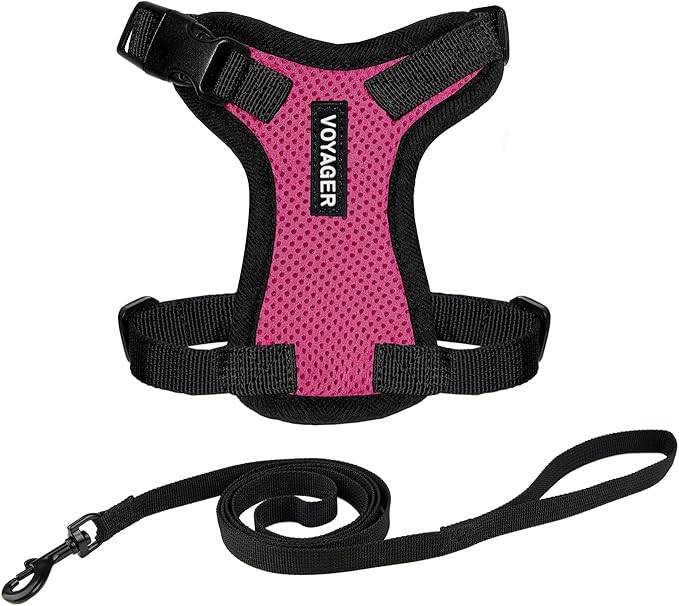 Voyager Escape-Proof Step-in Lock Cat Harness & 5ft Neoprene-Handle Leash Set All-Weather Mesh with Reflective Stitching for Small to Large Cats by Best Pet Supplies, Fuchsia/Black Trim, XS