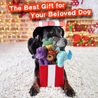 5 Pack Dog Squeak Toys, Durable Plush Chew Toys for Small, Medium & Large Dogs for Teething & Interactive Play