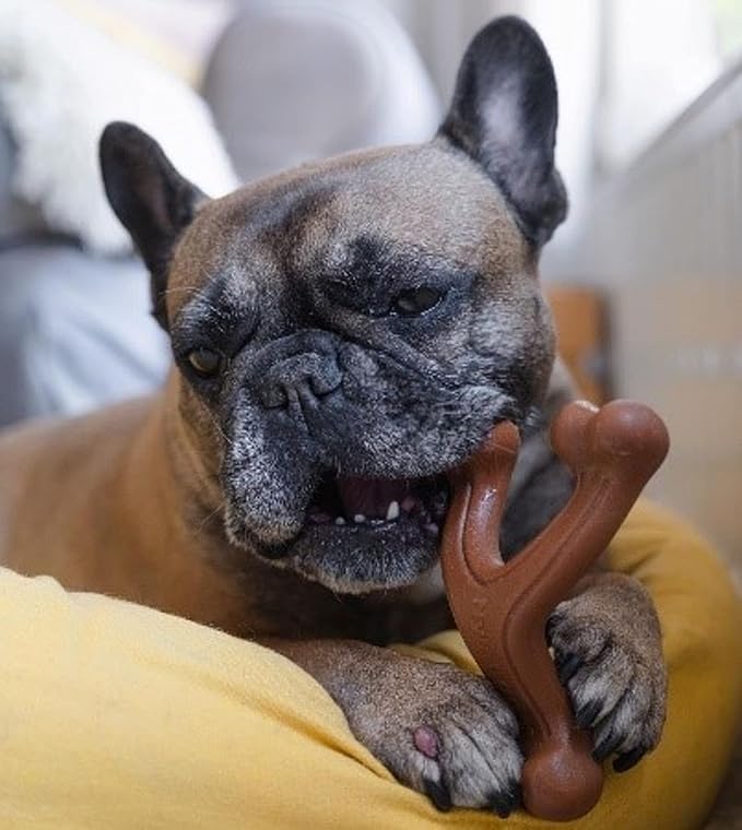 Nylabone Ergonomic Hold Wishbone Power Chew Toy for Dogs, Dog Toys for Aggressive Chewers, Bison Flavor, Large - Up to 50 lbs, 1 Count