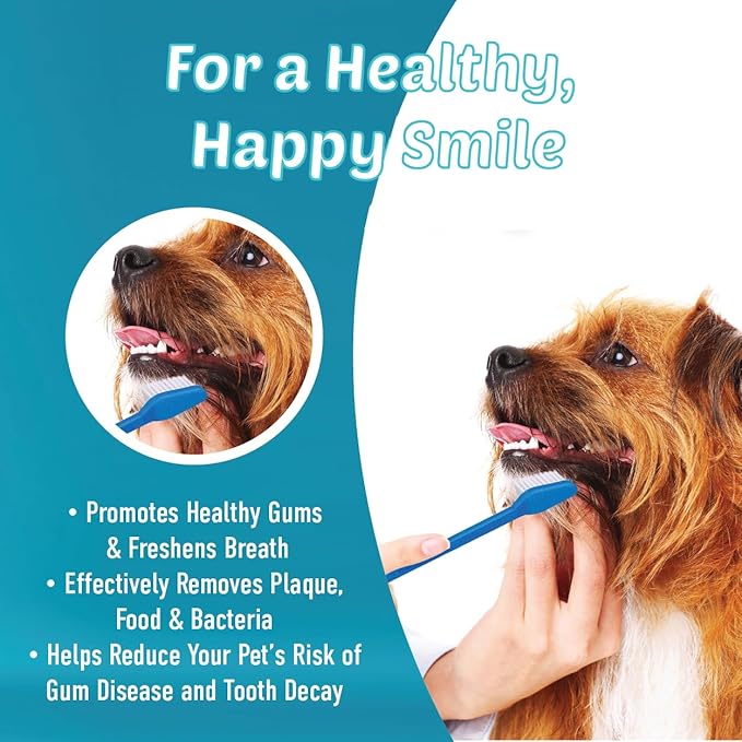Dog Toothbrush Set, Professional Dogs and Cat Grooming Supplies, Best Soft Bristle Toothbrush, Pack of 2 Double Sided Toothbrushes for Large and Small Pet Teeth