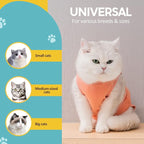 Avont Cat Recovery Suit - Kitten Onesie for Cats After Surgery, Cone of Shame Alternative Surgical Spay Suit for Female Cat, Post-Surgery or Skin Diseases Protection -Coral(M)