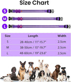 MASBRILL Light Up Dog Collars-RGB Led Collar for Dogs Rechargeable Lighted Dog Collar Water-Resistant Colorful Glow in The Dark Dog Collars for Night Walking