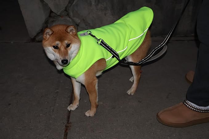 JACKO & CO - Fleece Vest Sweater with Leash Ring - Soft Lightweight Breathable for Puppies Small Medium Dogs, Kitten, Cats, Chihuahua - Warm for Fall/Autumn/Winter (Lime Green, XX-Large 25-35lbs)