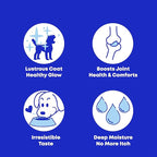 Omega 3 Salmon & Pollock Oil for Dogs – Shedding, Itchy Skin & Joint Support – Vet Formulated, NASC Certified Pet Supplement – 16oz Mess-Free Squeeze – Club Hachiko