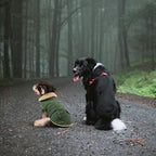 Queenmore Warm Puffer Dog Coat, Quilting Winter Jacket Ultra Thick Plush Lining with Storage Pockets (Brown, Small)