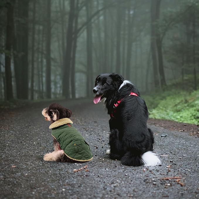 Queenmore Warm Puffer Dog Coat, Quilting Winter Jacket Ultra Thick Plush Lining with Storage Pockets (Brown, Small)