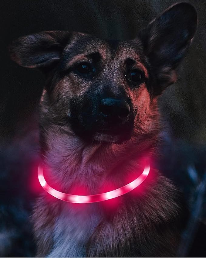 Joytale Light Up Dog Collar, Rechargeable Rainproof LED Collar for Night Walking Safety, Soft Silicone Glow in The Dark, Suitable for Small Medium Large Dogs, HotPink