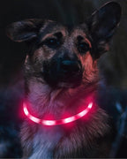 Joytale Light Up Dog Collar, Rechargeable Rainproof LED Collar for Night Walking Safety, Soft Silicone Glow in The Dark, Suitable for Small Medium Large Dogs, HotPink