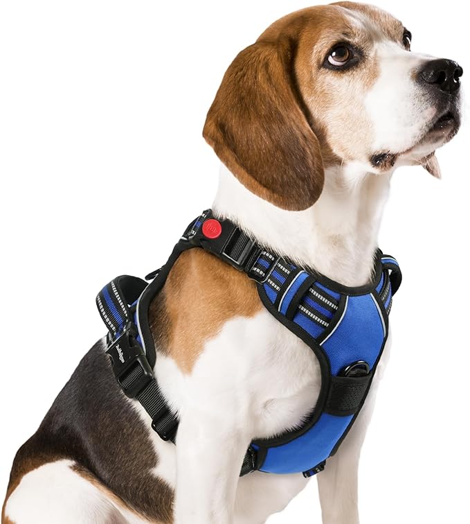rabbitgoo Dog Harness Medium Sized, No Pull Pet Harness with 3 Buckles, Adjustable Soft Padded Vest with Control Handle, Walking Reflective Pet Vest for Medium Dogs, Blue, M