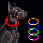 Light Up Led Dog Collar Rechargeable Waterproof, Glow in Dark Dog Collar, TPU Cuttable Lighted Dog Collars for Night Walking Charging USB, Safety for Small Medium Large Dogs Red