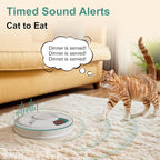 Automatic Cat Feeder, 6 Meal Timed Pet Dispenser Easily Programmable &Easy to Clean, Auto Feeder for Cats/Small Dogs (Green)