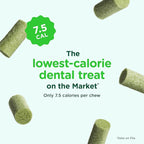 Minties FreshBites Soft and Chewy Dental Treats for Dogs, Low Calorie Natural Mint Flavored Dental Chews for Dogs, 100 Count, Chews Clean Teeth, Fight Bad Breath, and Removes Plaque and Tartar