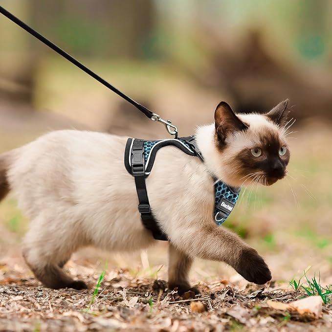 Cat Harness and Leash for Walking Escape Proof Soft Adjustable Cat Leash Breathable Honeycomb Structure Comfortable Vest Easy to Wear Kitten Harness for Outdoor Travel, Honeycomb Blue, XXS