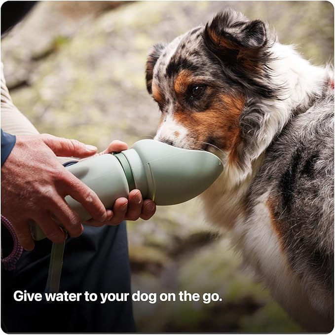 SÄKER Portable Dog Water Bottle, Collapsible Water Bottle for Dogs Perfect for Walking, Hiking and Outdoors | Works as a Portable Water Bowl | Designed in Montreal - 350ml