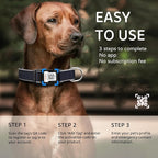 Personalized Dog Collar with QR Code tag for pet ID, Reflective Safety Collar, Suitable for Small, Medium, and Large Dogs (Black, Small)