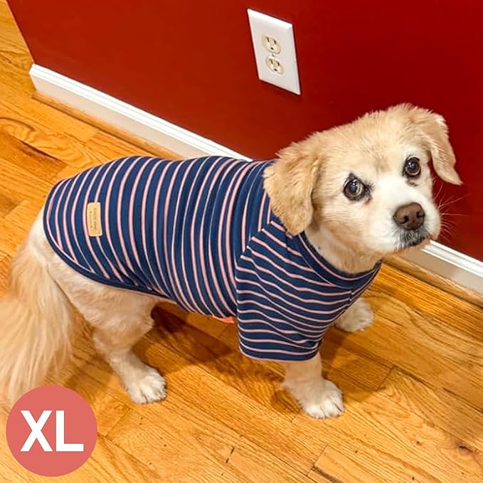 KYEESE 3Pack Dog Sweater Pullover Dog Sweaters for Small Dogs Girl Lightweight Dogs Sweatshirt Soft Pet Coat Cat Sweaters with Sleeves Stretchy Cat Clothes Comfy Pet Fleece Sweater for Cold Weather