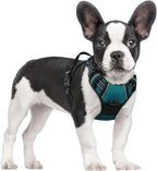 rabbitgoo Dog Harness No Pull with 2 Leash Clips, Adjustable Soft Padded, Reflective Oxford No Choke Pet Vest with Easy Control Handle for Small Dogs, Blue Coral, S