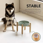 7.3inch Ceramic Raised Slow Feeder Dog Bowl Set, Elevated Wooden Stand for Medium and Small Dog, Puzzle Slow Dish, Preventing Choking(Light Green, Single Bowl+ Stand)