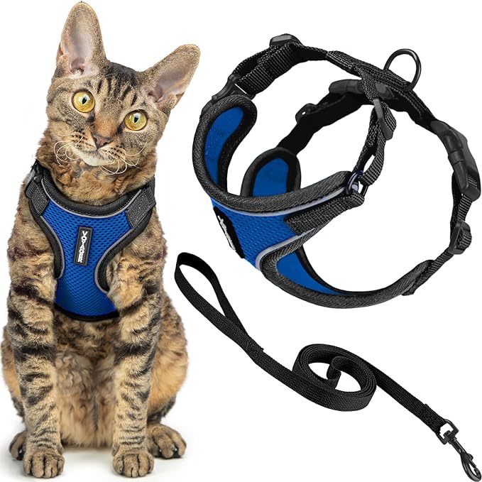 Voyager Escape-Proof Step-in Lock Cat Harness & 5ft Neoprene-Handle Leash Set All-Weather Mesh with Reflective Stitching for Small to Large Cats by Best Pet Supplies, Black Trim-Royal Blue (327), XS