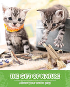 Silvervine Chew Sticks for Cats, 10 Pack Natural Catnip Chew Toys for Kittens Teeth Cleaning, Matatabi Dental Care, Increase Appetite, Calm Cat Anxiety and Stress, Aggressive Chewers Cat Dental Toy