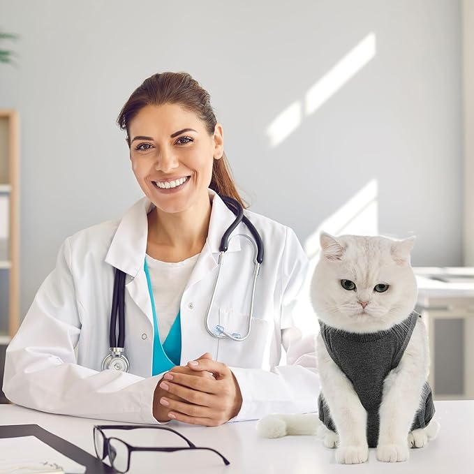 Avont Cat Recovery Suit - Kitten Onesie for Cats After Surgery, Cone of Shame Alternative Surgical Spay Suit for Female Cat, Post-Surgery or Skin Diseases Protection -Darkgrey(M)