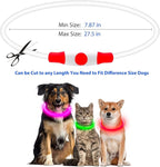 Flashseen LED Dog Collar, USB Rechargeable Glowing Lighted Up Collar, Cuttable Water-Resistant TPU Safety Collar Lights for Small Medium Large Dogs