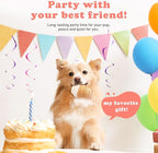 Interactive Dog Toys for Boredom-Multi-Functional Design-Birthday Gifts for Dogs-Frozen Treats-Medium/Large Dog Toys-Party Ice Cream